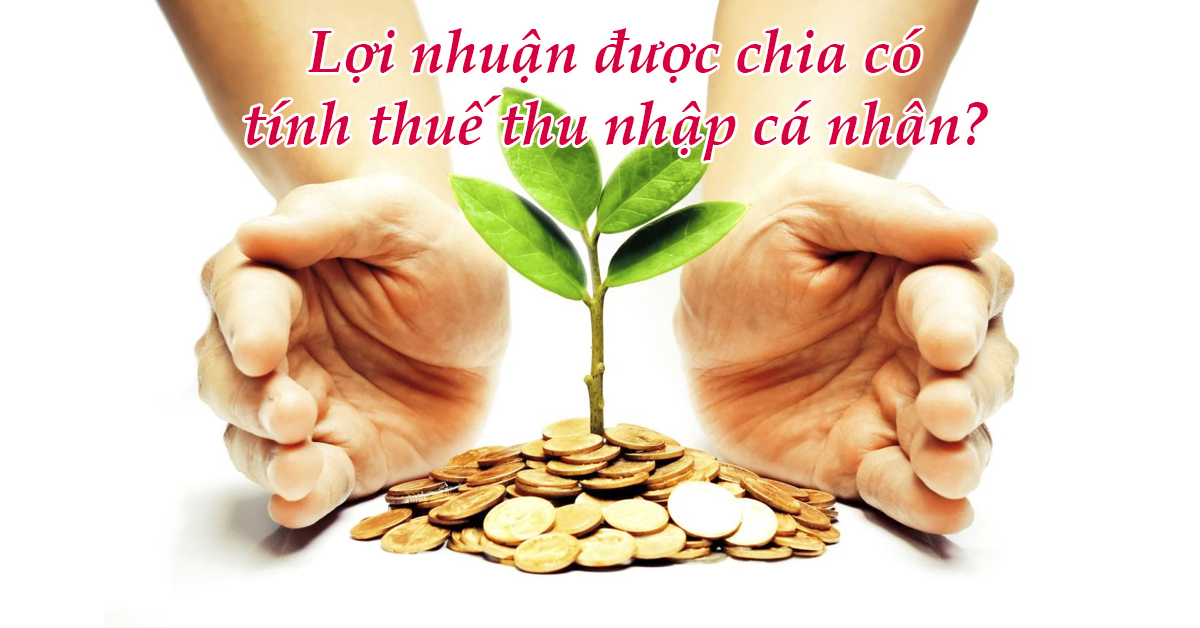 lợi nhuận được chia tính thuế