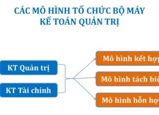 các mô hình tổ chức bộ máy kế toán quản trị