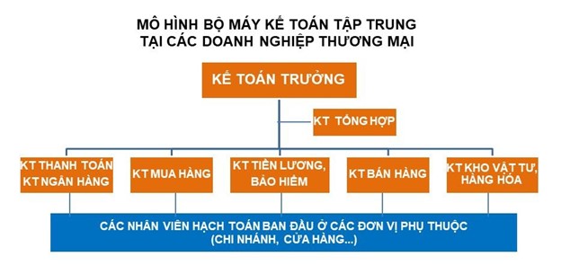 Tổ chức bộ máy kế toán phù hợp, hiệu quả cho doanh nghiệp thương mại