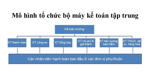 Tổ chức bộ máy kế toán - Mô hình nào phù hợp với doanh nghiệp của bạn?