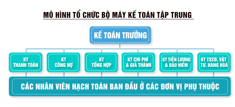 Mô hình tổ chức bộ máy kế toán tập trung: Lựa chọn tối ưu cho doanh nghiệp