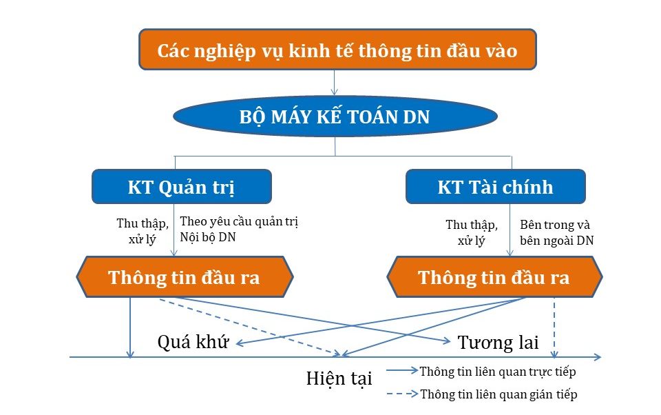 Tổ chức bộ máy kế toán trong doanh nghiệp